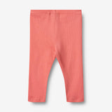 Wheat Main Rib Leggings Maddy Legging 2216 light coral