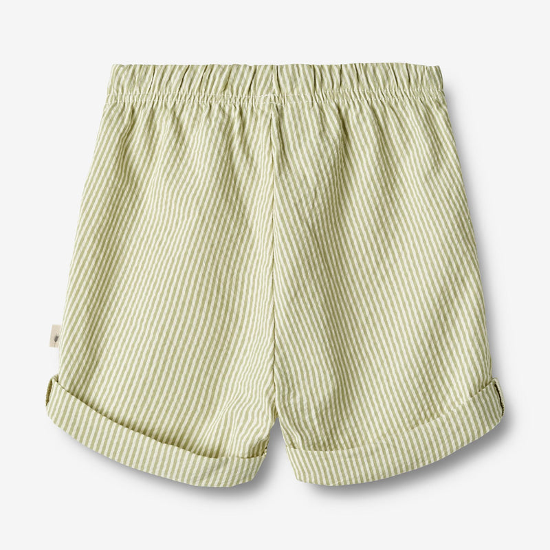 Wheat Main Shorts Milton Shorts 4142 green stripe